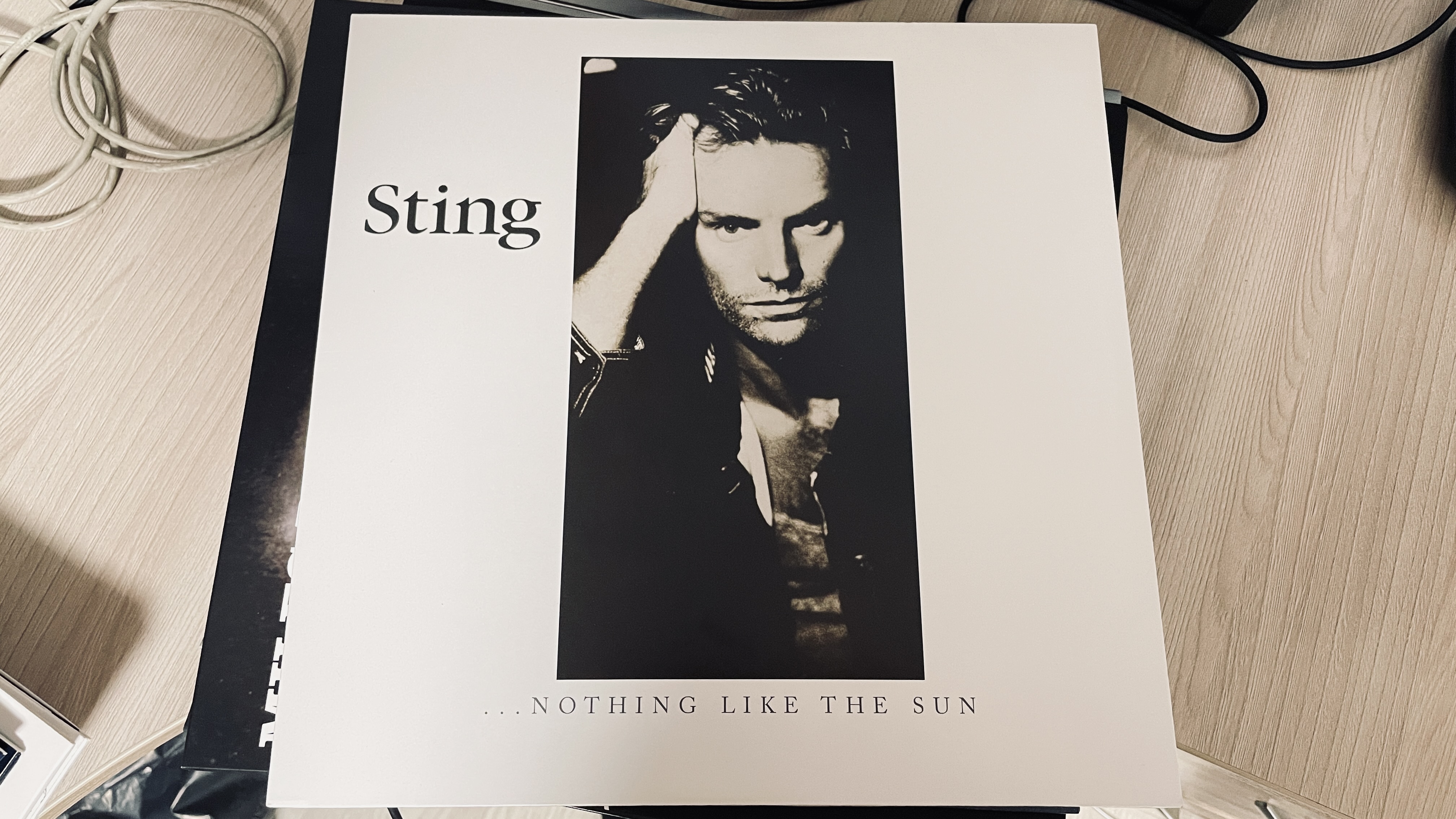 Sting nothing like the sun 1987. Sting 1987. Sting альбом nothing like the sun. Sting nothing like the sun album. Sting 1999 brand new day.