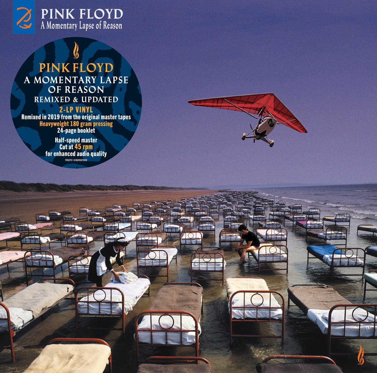 Виниловая пластинка Pink Floyd - A Momentary Lapse Of Reason - Remixed &  Updated - купить в интернет-магазине Pult.ru