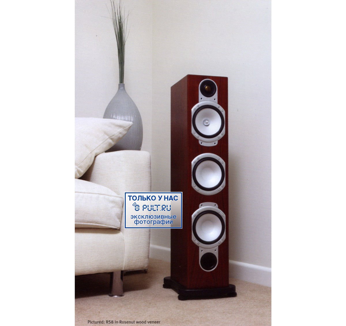 Купить Напольную акустику Monitor Audio Silver RS8 Black Oak в