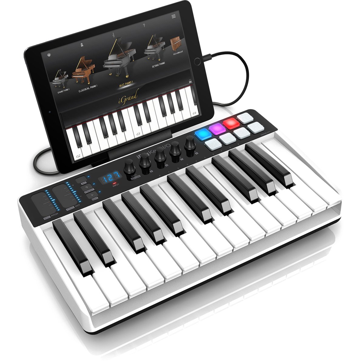 MIDI контроллер IK Multimedia iRig Keys I/O 25 - купить в Санкт-Петербурге  в интернет-магазине Pult.ru