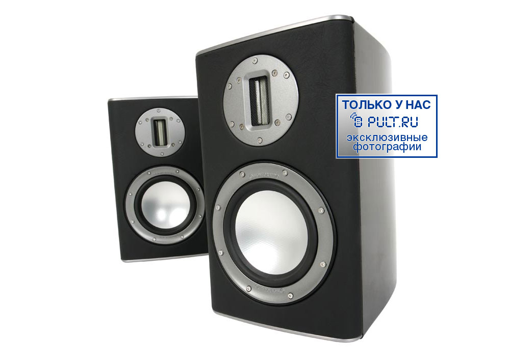 Monitor sales audio pl100