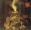 Фото к отзыву на Виниловая пластинка WM Sepultura Arise (180 Gram/Gatefold) от Денис