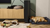 Фото к отзыву на Напольная акустика Acoustic Energy AE120-2 Black от Вячеслав