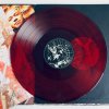 Фото к отзыву на Виниловая пластинка Killswitch Engage - As Daylight Dies (Deluxe Edition/Limited Solid White & Black MixedVinyl) от Тимур Рахимов