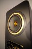 Фото к отзыву на Студийный монитор Tannoy GOLD 5 от Роман