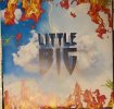 Фото к отзыву на Виниловая пластинка Little Big — Greatest Hits (180 Gram Black Vinyl/Gatefold) от Евгений