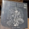 Фото к отзыву на Виниловая пластинка Dimmu Borgir - Inspirato Profanus  (Coloured Vinyl LP) от Максим