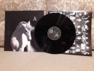 Фото к отзыву на Виниловая пластинка Аквариум — Лошадь Белая LP от Алексей