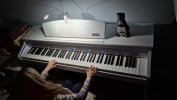 Фото к отзыву на Цифровое фортепиано Artesia DP-10e White от Артём