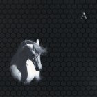 Bomba Music Аквариум — Лошадь Белая LP