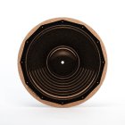 Simply Analog SACS004, Speaker