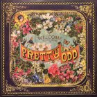 WM PRETTY. ODD. (140 Gram)