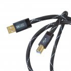 DH Labs USB digital USB 1,5m