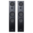 Напольная акустика Canton GLE 100 S2 Black