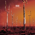 WM Muse - Origin of Symmetry (XX Anniversary RemiXX)