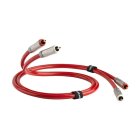 Кабель межблочный аудио QED (QE2455) Reference Audio 40 3.0 m