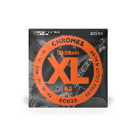 D'Addario ECG23