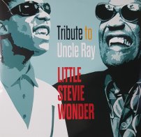 ERMITAGE WONDER STEVIE LITTLE - TRIBUTE TO UNCLE RAY (LP)