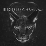 Island Records Group Disclosure - Caracal (Black Vinyl)