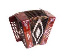 Шуйская гармонь S5XLY-A-RD "Чайка 314" 25х25-III-2