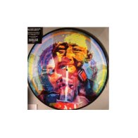 Manic Street Preachers THE HOLY BIBLE 20 (Picture disc/Remastered)