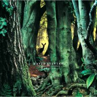 Universal US David Sylvian - Manafon (Black Vinyl 2LP)