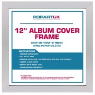 Audio Anatomy 12 INCH ALBUM COVER FRAME - SILVER WOOD