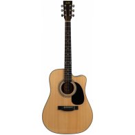 Mollo Guitar DC-100 NA