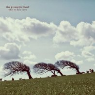 Kscope The Pineapple Thief - What We Have Sown (Black Vinyl 2LP)