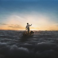 PLG THE ENDLESS RIVER (2LP+DOWNLOAD CAR