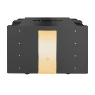 Accustic Arts AMP VI black-gold edition