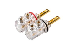 Phaze Audio SpPLUG (4 шт.)