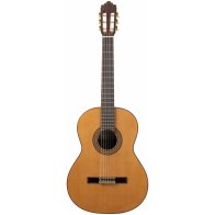 Altamira N300+W-CASE (кейс в компл)