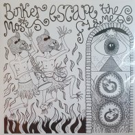 Universal US Binker Golding; Boyd, Moses - Escape The Flames (Black Vinyl 2LP)