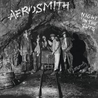Universal US Aerosmith - Night In The Ruts (Black Vinyl LP)