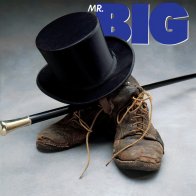 Evosound Mr. Big - Mr. Big (Audiophile One-Step Pressing) (Black Vinyl LP)