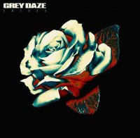 Юниверсал Мьюзик Grey Daze — AMENDS (LP)