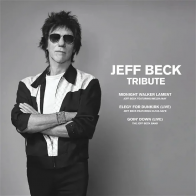 Warner Music Jeff Beck - Tribute EP (Black Vinyl LP)