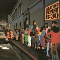 Music On Vinyl WEATHER REPORT - 8:30