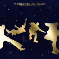 BMG 5 Seconds Of Summer - The Feeling Of Falling Upwards (Black Vinyl 2LP)