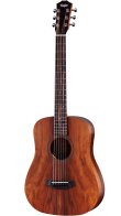 Taylor BT-Koa