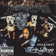 Universal (Aus) Snoop Dogg - No Limit Top Dogg (Black Vinyl 2LP)