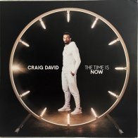 Sony Craig David The Time Is Now (Gatefold)