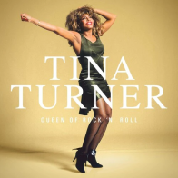 Warner Music Tina Turner - Queen Of Rock 'N' Roll (Black Vinyl LP)