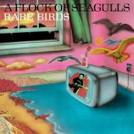 BMG A Flock Of Seagulls - Rare Birds, B-Sides, Edits And Alternate Mixes (Limited Edition, Black Vinyl LP)