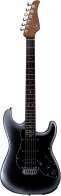 GTRS P800-Professional-800-DS