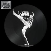 WM David Bowie - The Man Who Sold The World (Limited Picture Vinyl)