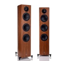 Gauder Akustik Capello 100 AL Rosewood