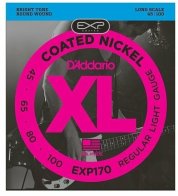 D'Addario EXP170