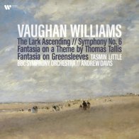 Warner Music Tasmin Little; Davis, Andrew - Williams: The Lark Ascending, Symphony No.6, Fantasia On A Theme By Thomas Tallis (Black Vinyl 2LP)